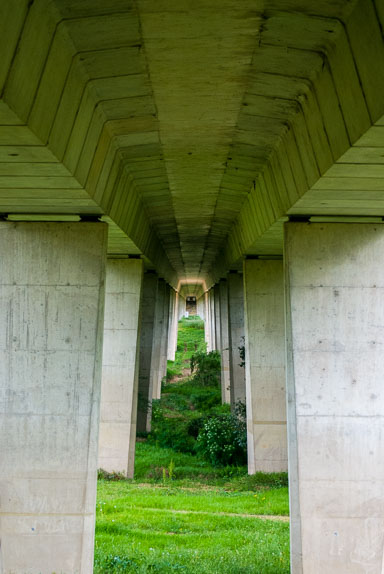 SLG_6685.jpg