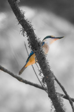 DSC_5592.jpg