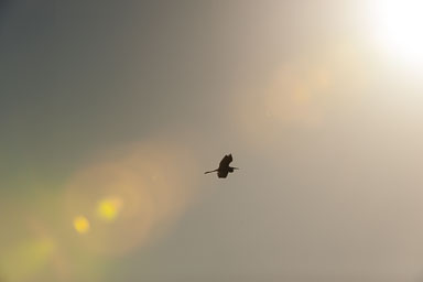 SGI_1467.jpg