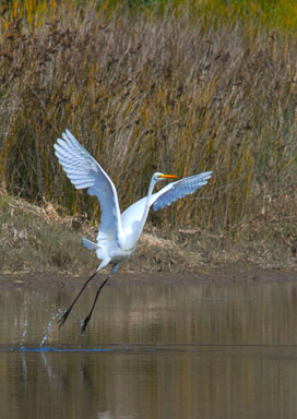 SL6_3416.jpg