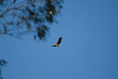 SLG_5581.jpg