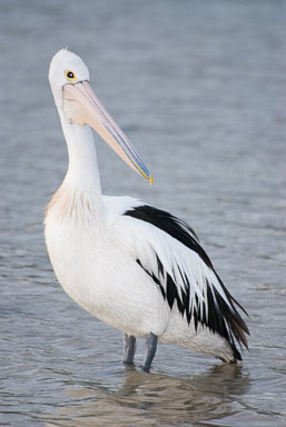 SLG_6006.jpg
