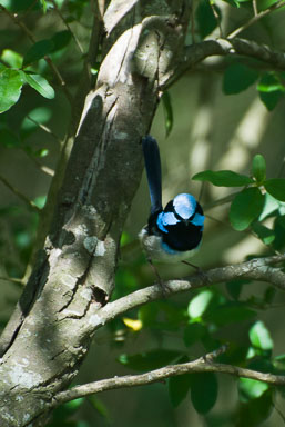 SLG_6188.jpg