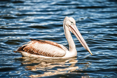 _SGI0462-edit.jpg