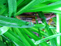 DSCF1556.jpg