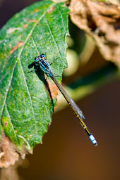 SLG_4400.jpg