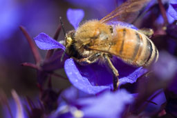 SLG_5609.jpg