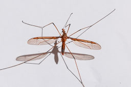 SLG_9220.jpg