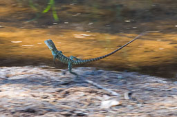 DSC_5601.jpg