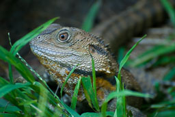 SLG_2646-2.jpg