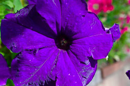 SLG_0056.jpg