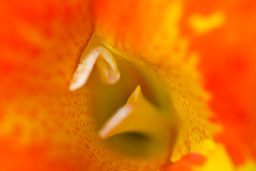 SLG_0413.jpg