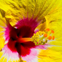 SLG_1043.jpg