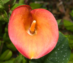 SLG_3626.jpg