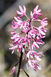 SLG_4577.jpg