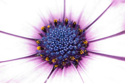 SLG_5480.jpg