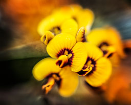 _SGI0480-edit.jpg
