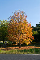 SLG_4489.jpg