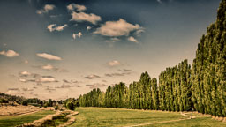 SLG_1307_HDR.jpg