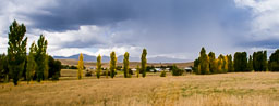 Landscapes