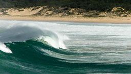 DSCF2359.jpg