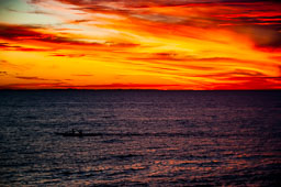 DSC_6396.jpg