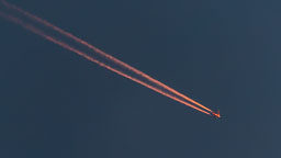 SGI_1059.jpg