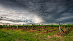 SGI_2458_HDR.jpg