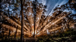 SGI_9850_HDR.jpg