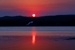 SLG_0546.jpg