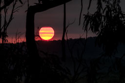 SLG_6036.jpg