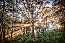 SLG_6911_HDR.jpg