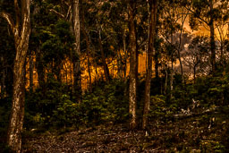 _SGI2761_HDR.jpg