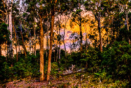_SGI2773_HDR.jpg