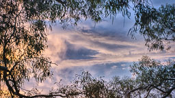 _SGI2785_HDR.jpg