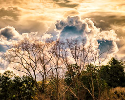 _SGI6109_HDR.jpg