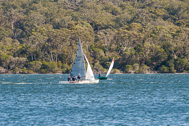 SGI_1113.jpg