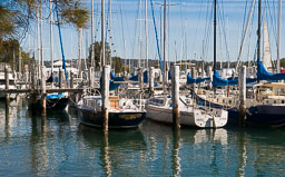 SLG_2429.jpg