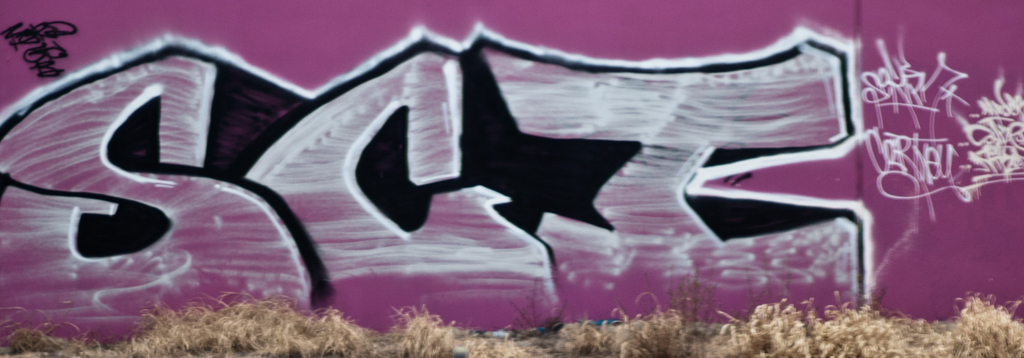 Photos Steve Gordon Images